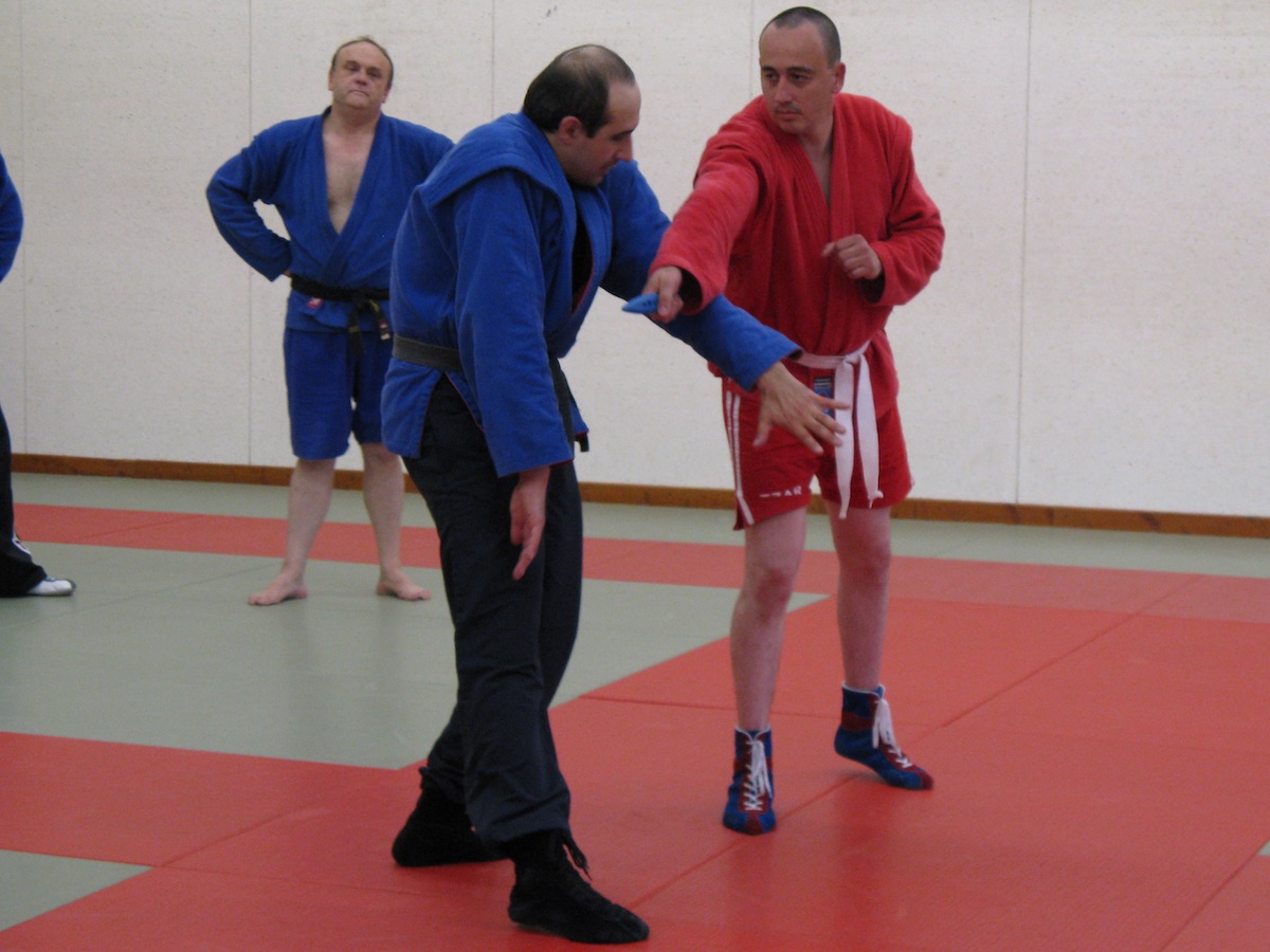 defense sambo