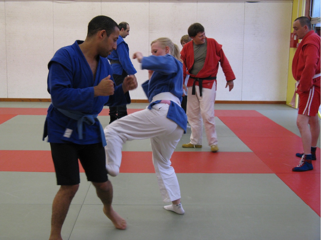 sambo defense